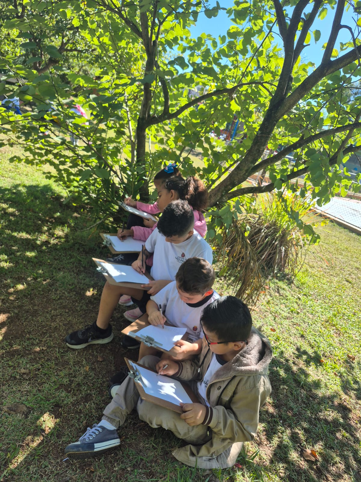 Crianças desenhando à sombra da árvore